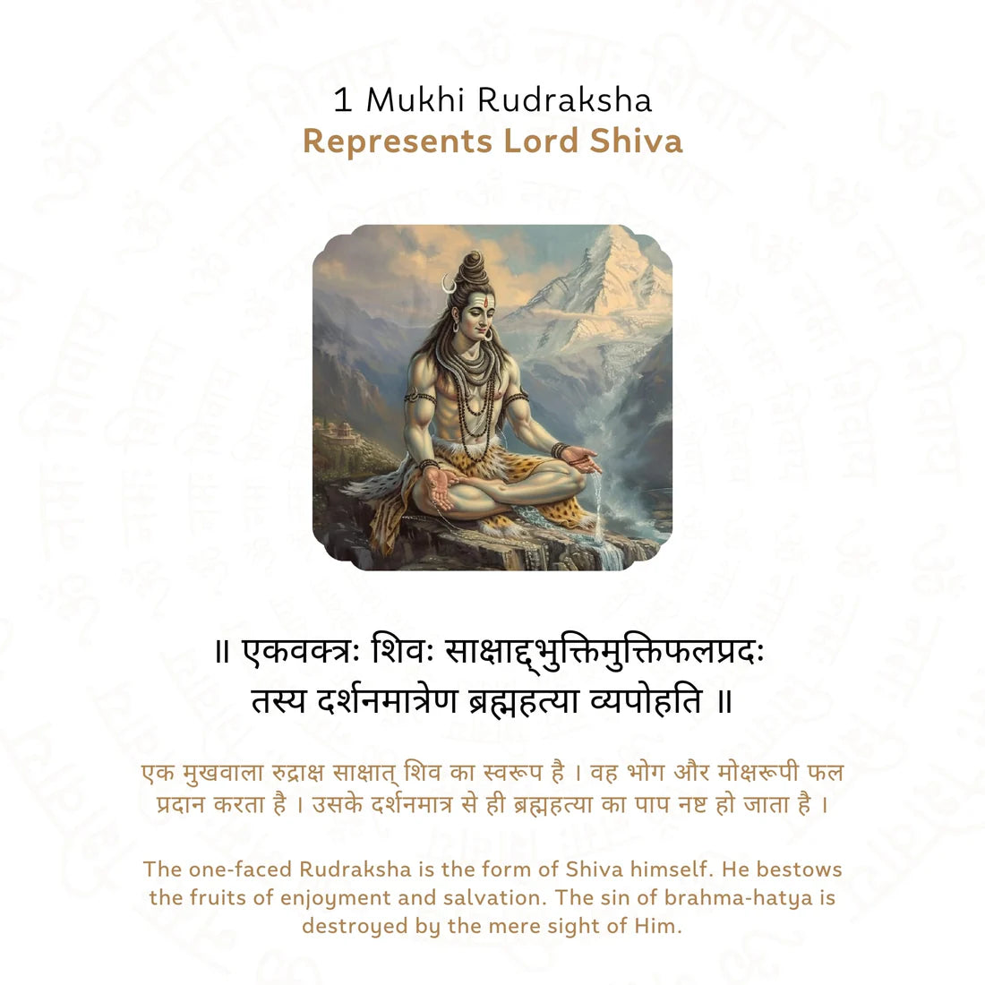 1 Mukhi Rudraksha - Certified | Ek Mukhi Rudraksha | Original, Natural, Lab Certified, Best for Meditation & Prosperity
