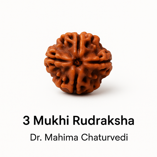 3 Mukhi Rudraksha – The Flame of Transformation
