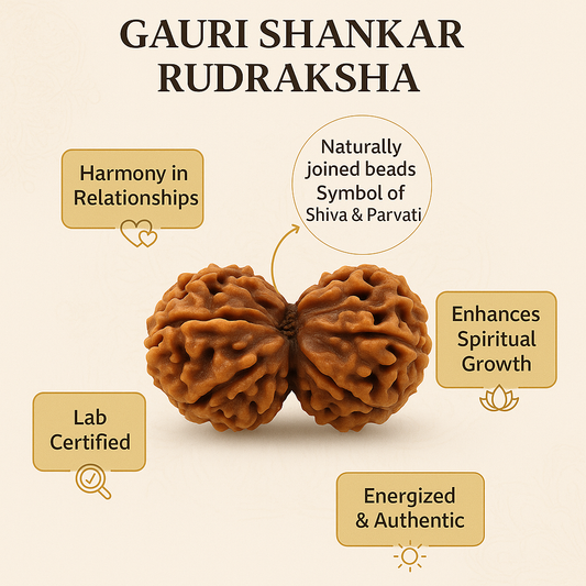Gauri Shankar Rudraksha – Divine Union Bead for Harmony