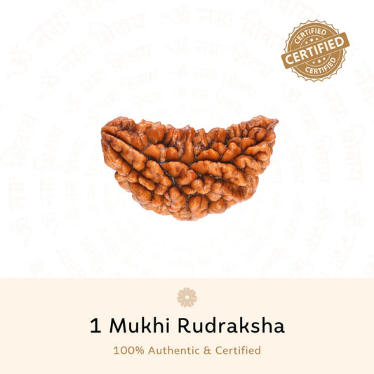 Partial Payment for 1 Mukhi Rudraksha - Certified | Ek Mukhi Rudraksha | Original, Natural, Lab Certified, Best for Meditation &amp; Prosperity (Partial Payment) 1782294733-207