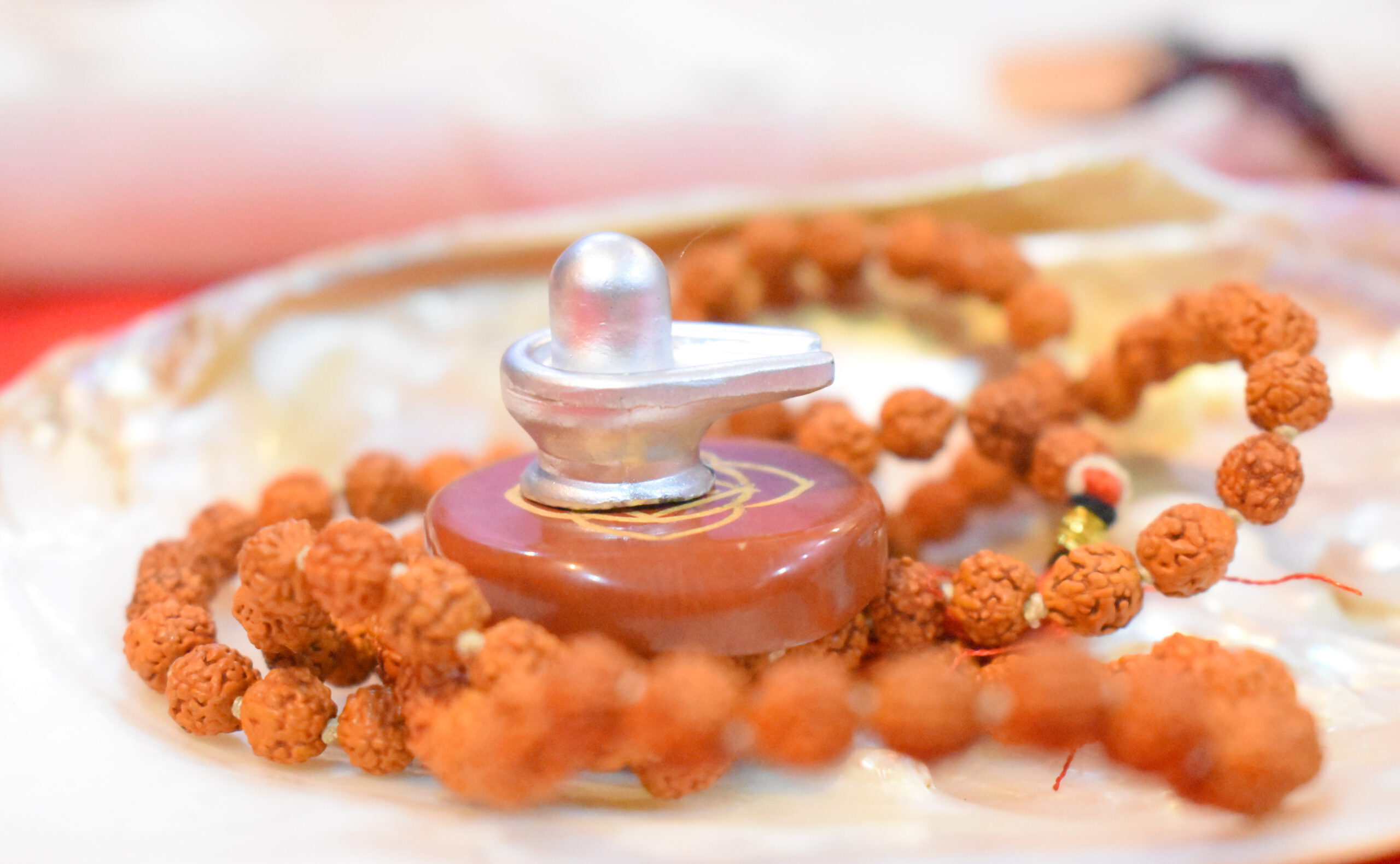 Rudraksha (रुद्राक्ष) are the beads from trees belonging to Elaeocarpus Ganitrus Roxb